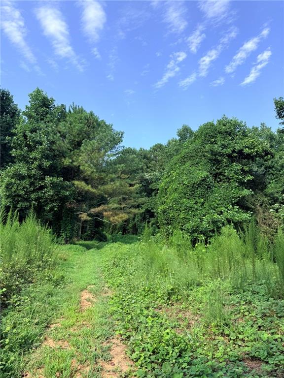 Lot 20 Henderson Mountain Road Jasper GA 30143