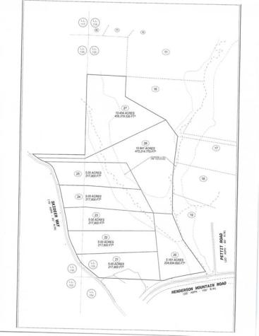 Lot 20 Henderson Mountain Road Jasper GA 30143