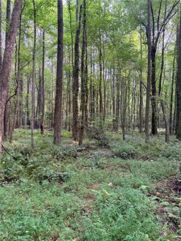 Lot 20 Henderson Mountain Road Jasper GA 30143