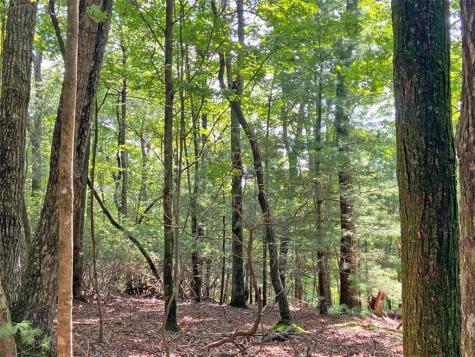 11AC T S Jarrard Road Dahlonega GA 30533
