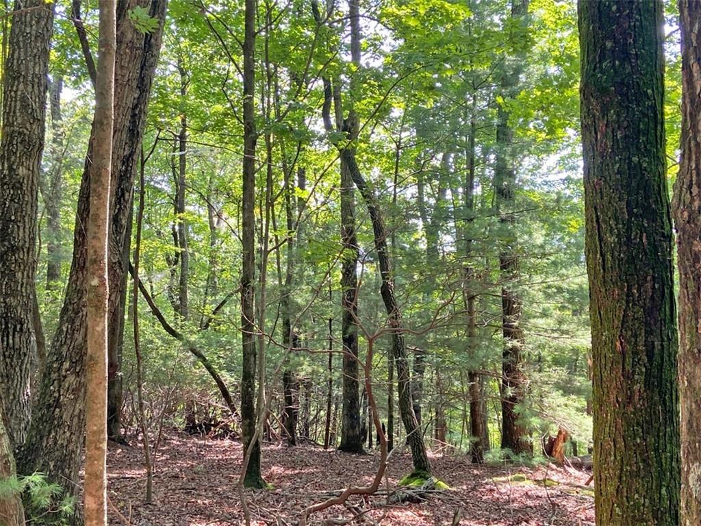 11AC T S Jarrard Road Dahlonega GA 30533