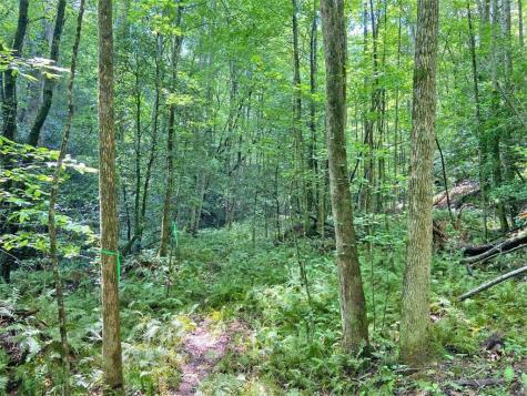 11AC T S Jarrard Road Dahlonega GA 30533