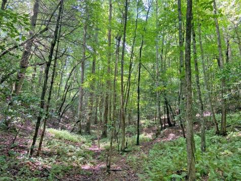 11AC T S Jarrard Road Dahlonega GA 30533