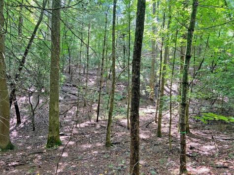 11AC T S Jarrard Road Dahlonega GA 30533