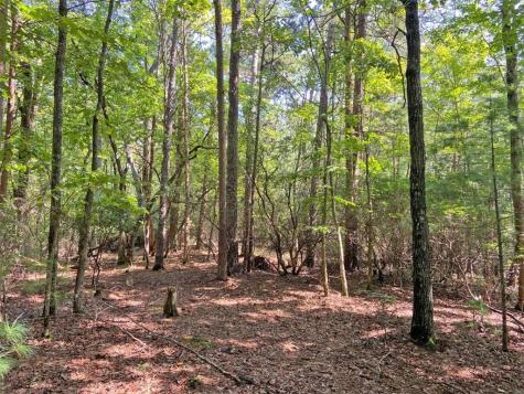 11AC T S Jarrard Road Dahlonega GA 30533