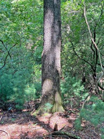 11AC T S Jarrard Road Dahlonega GA 30533
