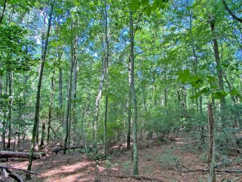 11AC T S Jarrard Road Dahlonega GA 30533