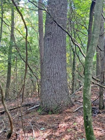 11AC T S Jarrard Road Dahlonega GA 30533