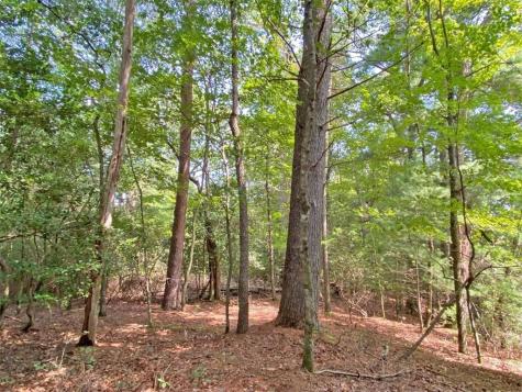 11AC T S Jarrard Road Dahlonega GA 30533