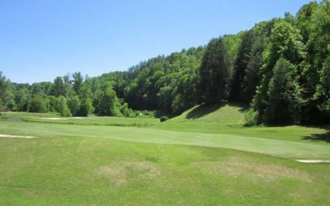 0 Shenendoa Drive Ellijay GA 30540