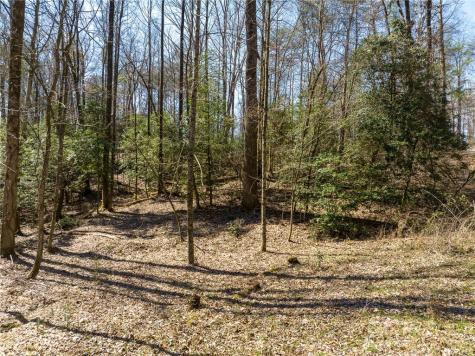 0 Shenendoa Drive Ellijay GA 30540