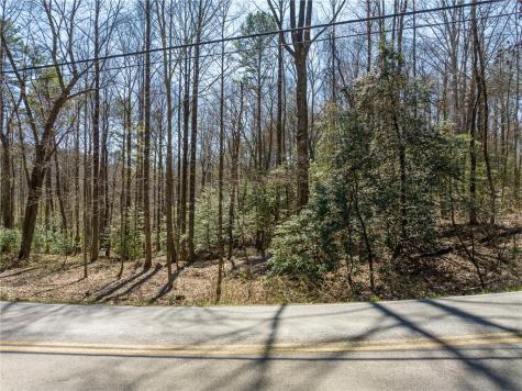 0 Shenendoa Drive Ellijay GA 30540