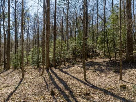 0 Shenendoa Drive Ellijay GA 30540