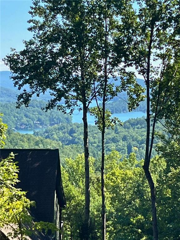Lot 8 Lake View Clayton GA 30525