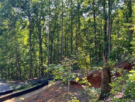 Lot 8 Lake View Clayton GA 30525