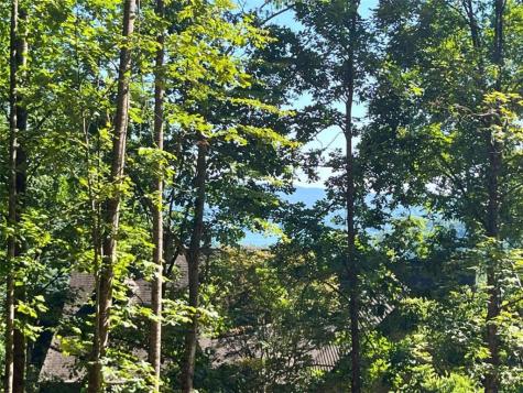 Lot 8 Lake View Clayton GA 30525