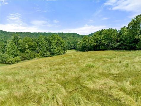 00 Freeman View Trail Cleveland GA 30528