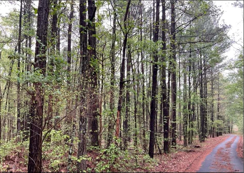 0 Labudde Lane Colbert GA 30628