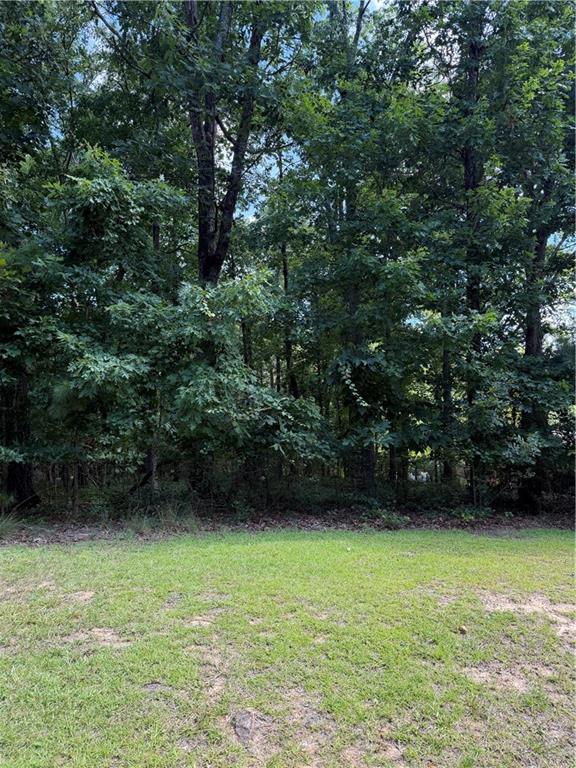 3355 Lakeview Parkway Villa Rica GA 30180
