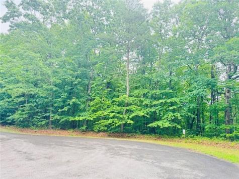 0 Highpointe Trail Ellijay GA 30536