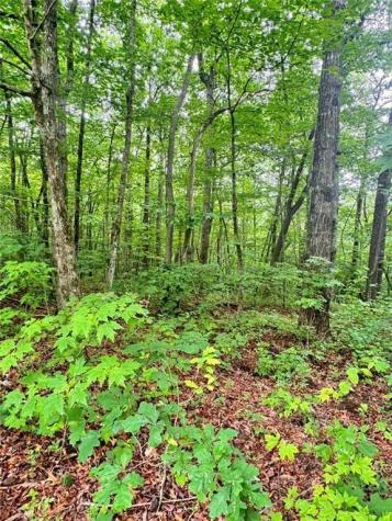 0 Highpointe Trail Ellijay GA 30536