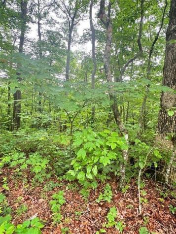 0 Highpointe Trail Ellijay GA 30536