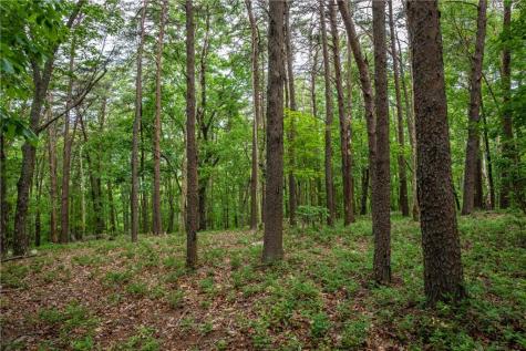 206R Mystic Trail Lane Jasper GA 30143