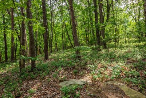 206R Mystic Trail Lane Jasper GA 30143