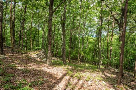 206R Mystic Trail Lane Jasper GA 30143