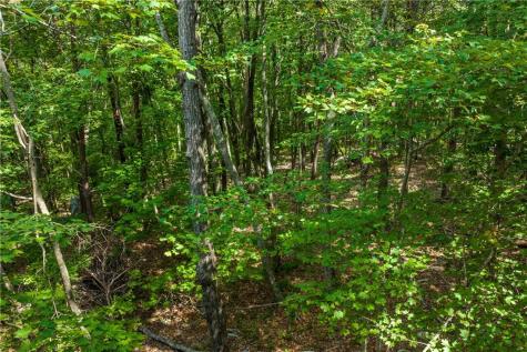 206R Mystic Trail Lane Jasper GA 30143