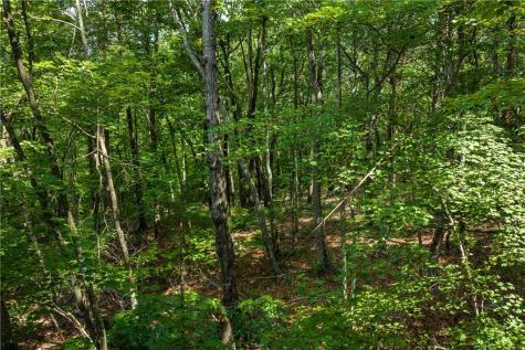 206R Mystic Trail Lane Jasper GA 30143