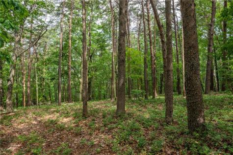 206R Mystic Trail Lane Jasper GA 30143