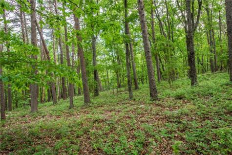 206R Mystic Trail Lane Jasper GA 30143