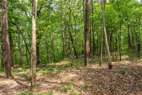 206R Mystic Trail Lane Jasper GA 30143