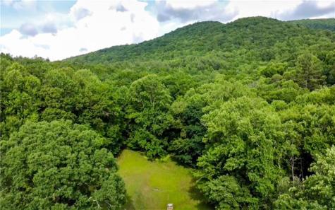 239 Glen Elliott Road Suches GA 30572