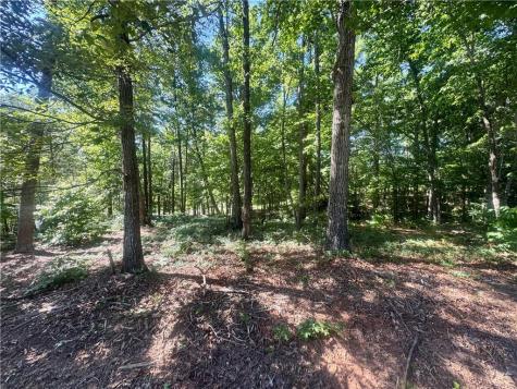 0 Teel Mountain Cleveland GA 30528