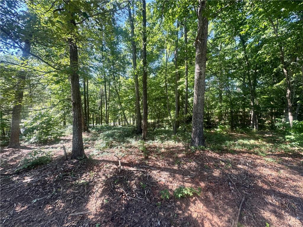 0 Teel Mountain Cleveland GA 30528