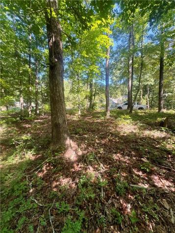 0 Teel Mountain Cleveland GA 30528