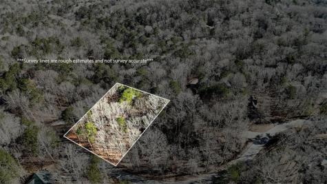0 Newport Drive Ellijay GA 30540