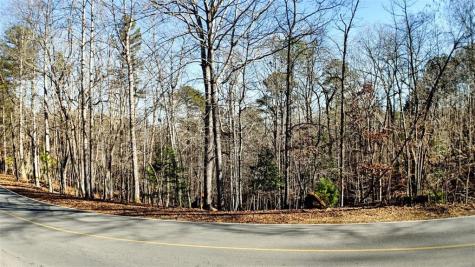 0 Newport Drive Ellijay GA 30540