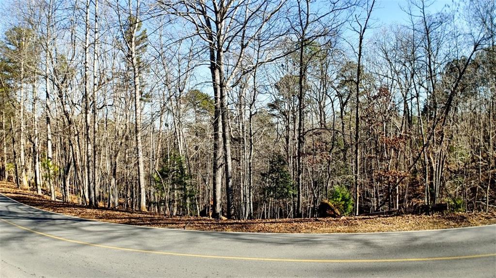 0 Newport Drive Ellijay GA 30540