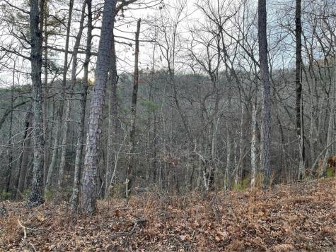 205 Sharp Top Mountain Trail Jasper GA 30143