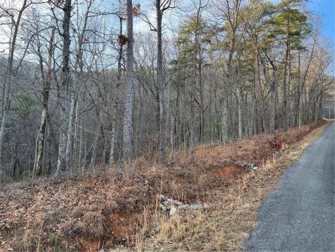 205 Sharp Top Mountain Trail Jasper GA 30143