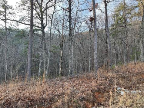 205 Sharp Top Mountain Trail Jasper GA 30143
