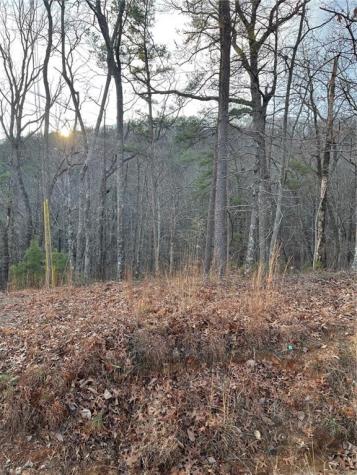 205 Sharp Top Mountain Trail Jasper GA 30143
