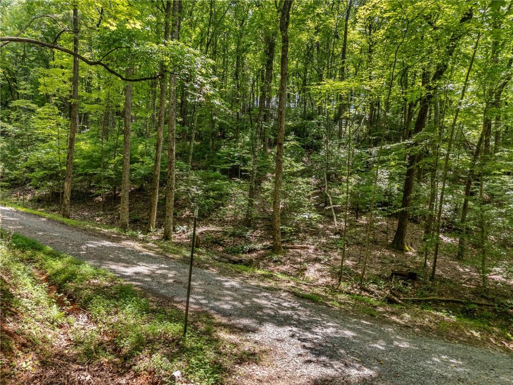 0 Jagger Run Blue Ridge GA 30513