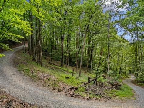 0 Jagger Run Blue Ridge GA 30513
