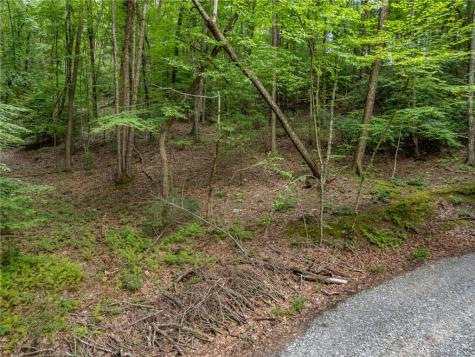 0 Jagger Run Blue Ridge GA 30513