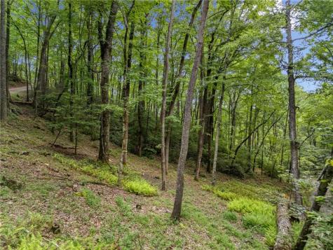 0 Jagger Run Blue Ridge GA 30513