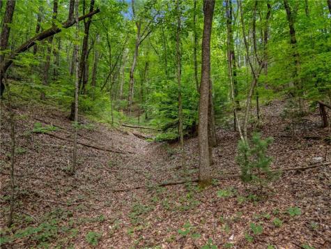 0 Jagger Run Blue Ridge GA 30513